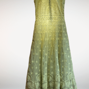 Varshace Netted floor length gown