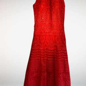 Varshace party wear netted frock