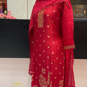 Salwar Sets 241022 - Image 3